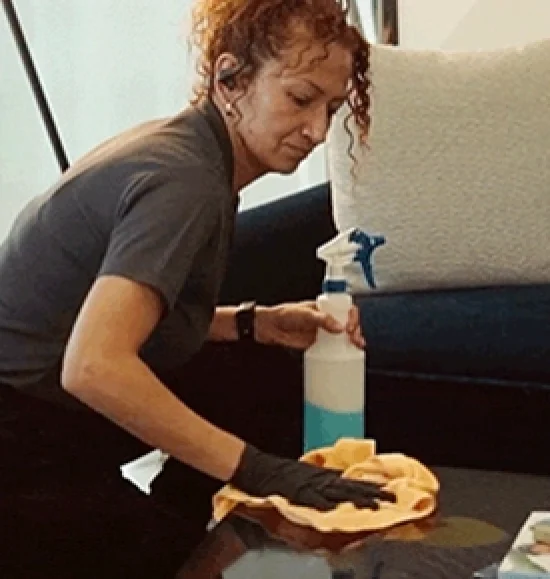 Professional Cleaning work